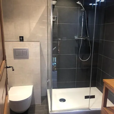 Magnifique Duplex Avec Vue Proche D Apartament Ovronnaz